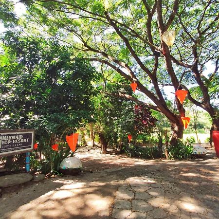 Mermaid Eco Resort Dhoapalong 外观 照片